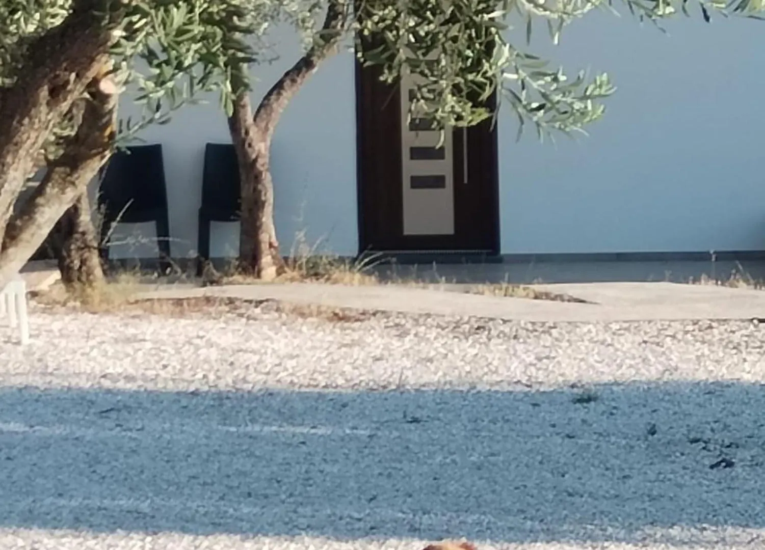 Farmhouse La Croisette - Agriturismo 0*, Dorgali Italy