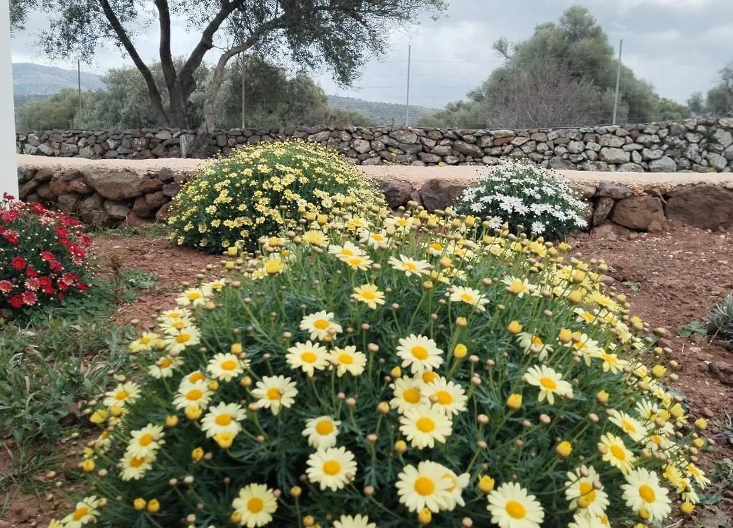 Farmhouse La Croisette - Agriturismo Dorgali