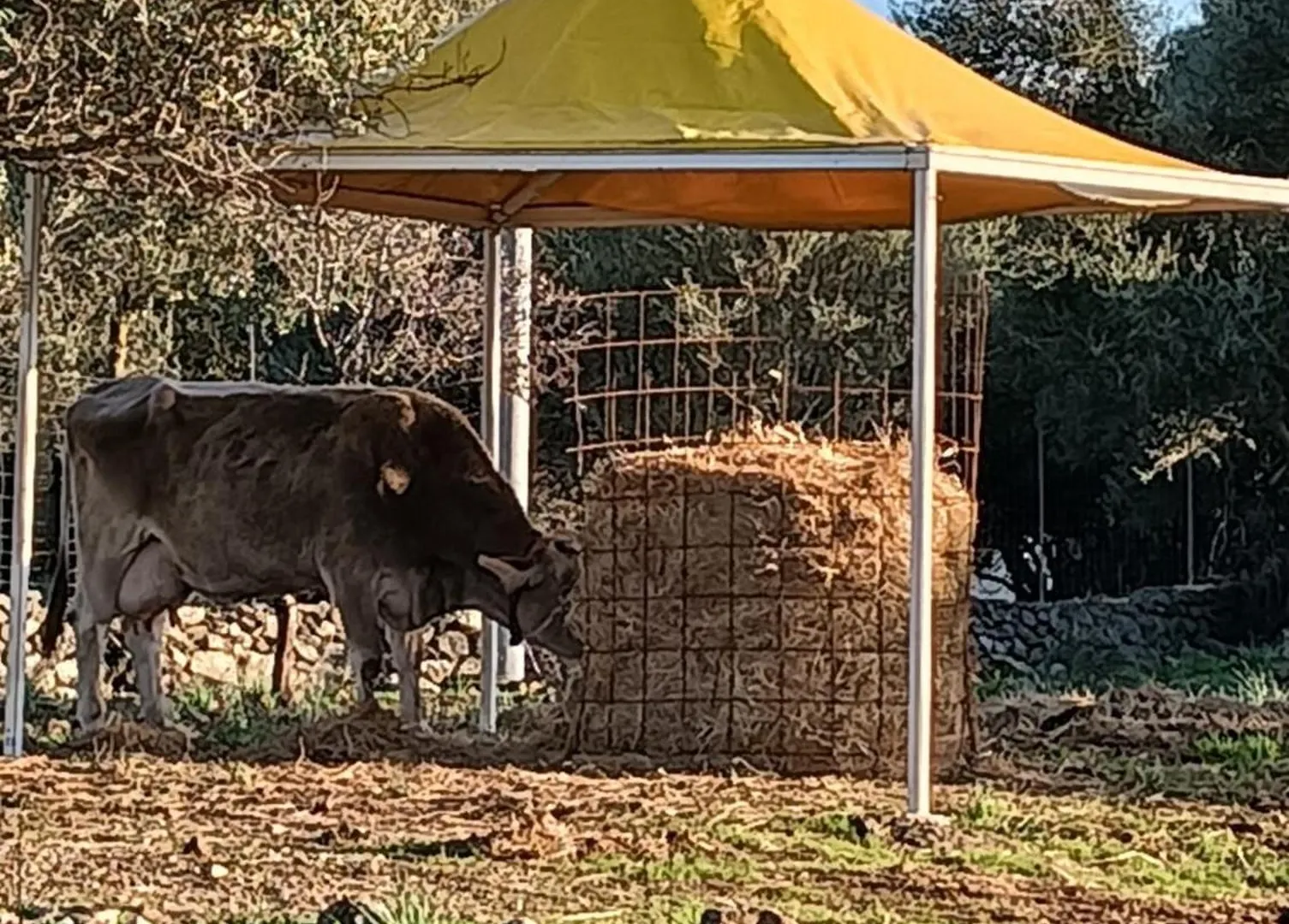 Farmhouse La Croisette - Agriturismo Alloggio per agriturismo